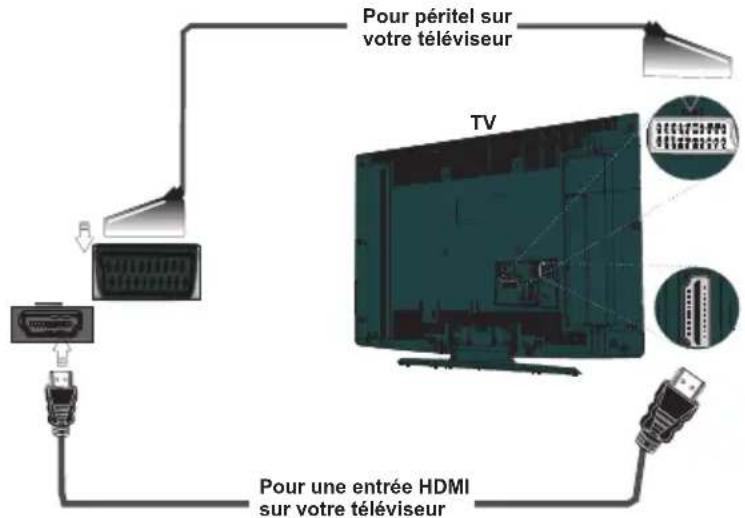 TRIAX THR 9700 - Branchement d'un boîtier décodeur à un téléviseur - 1