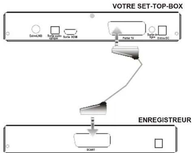 SEDEA ST5000HD - SET-TOP-BOX TO VCR / ENREGISTREUR DE RACCORDEMENT (OPTION) - 1