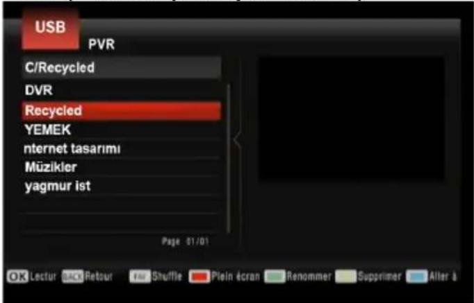 USB PVR C/Recycled DVR Recycled YEMEK nternet tasarimi Müzikler yagmur ist Page 01/01 OK Lectur OK Retour For Shuffle Plein écran Renommer Supprimer Alter &