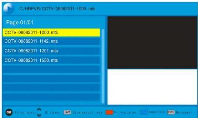 SCHAUB LORENZ TNT1226MPEG4 - Visionner vos enregistrements - 1