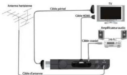 ESSENTIELB Ergonum HD - branchement - 2
