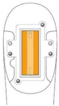 RIO IPL Pro - SOIN DU VISAGE - 2