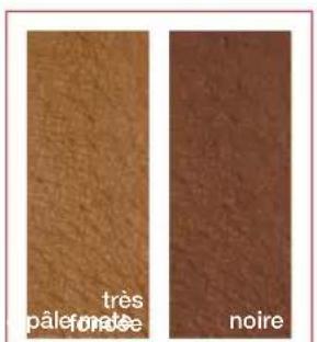 RIO IPL Pro - EXEMPLES DE COULEURS DE PEAU - 2