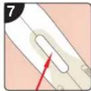 RIO IPL Pro - ÉTAPE 5 - 1