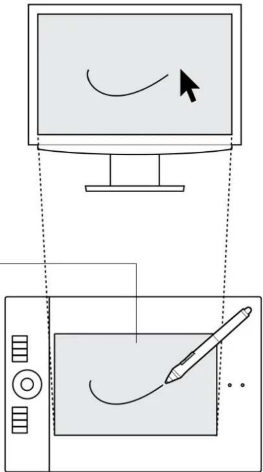 WACOM Intuos4 Wireless - IDENTIFICATION DE LA SURFACE ACTIVE DE LA TABLETTE - 1