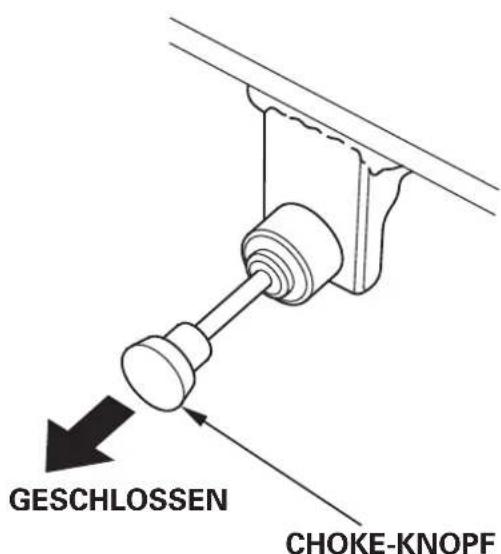 Honda HSS1380A - [Elektrisches AnlassenmitGleichstrom(ETS,EWS) - 5