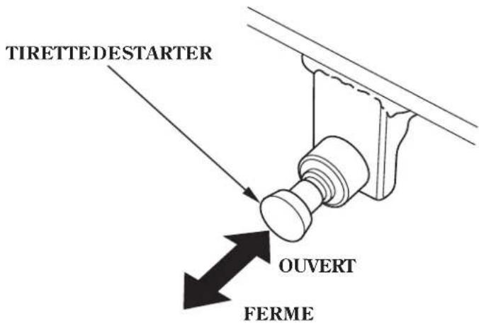 Honda HSS1380A - Boutondestarter - 1