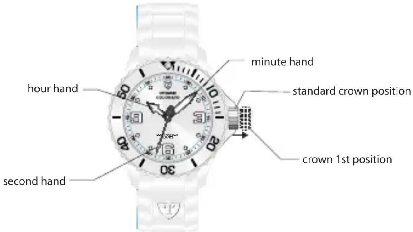 Detomaso Colorato - Setting the Standard Watch - 1