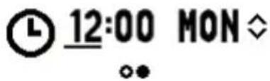 LUMIE Bodyclock IRIS 500 - Die ersten Schritte - 3