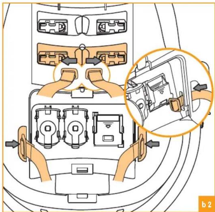 Bloom Fresco - b - 2