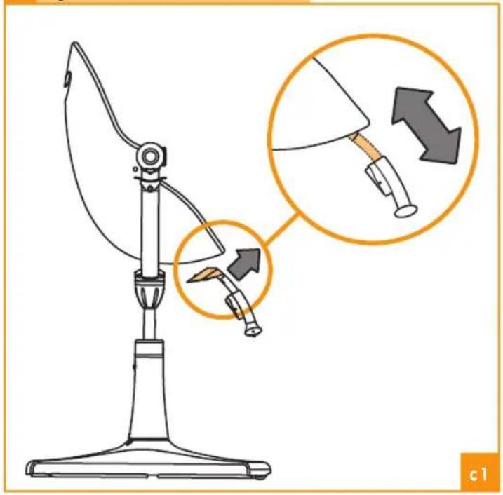 Bloom Fresco - C - 1