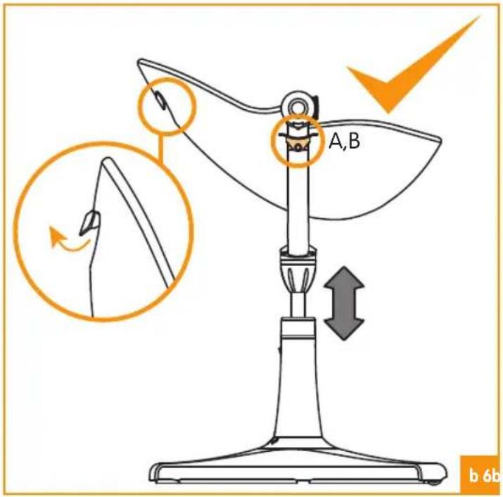 Bloom Fresco - b - 6