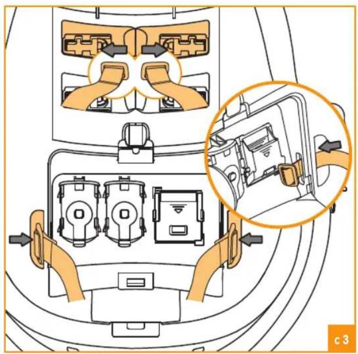 Bloom Fresco - C - 3