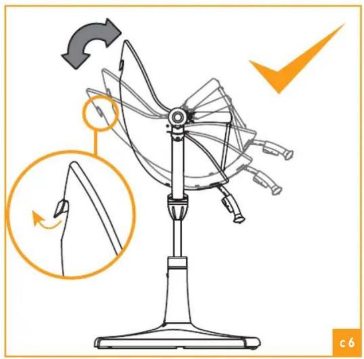 Bloom Fresco - C - 6