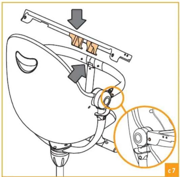 Bloom Fresco - C - 7