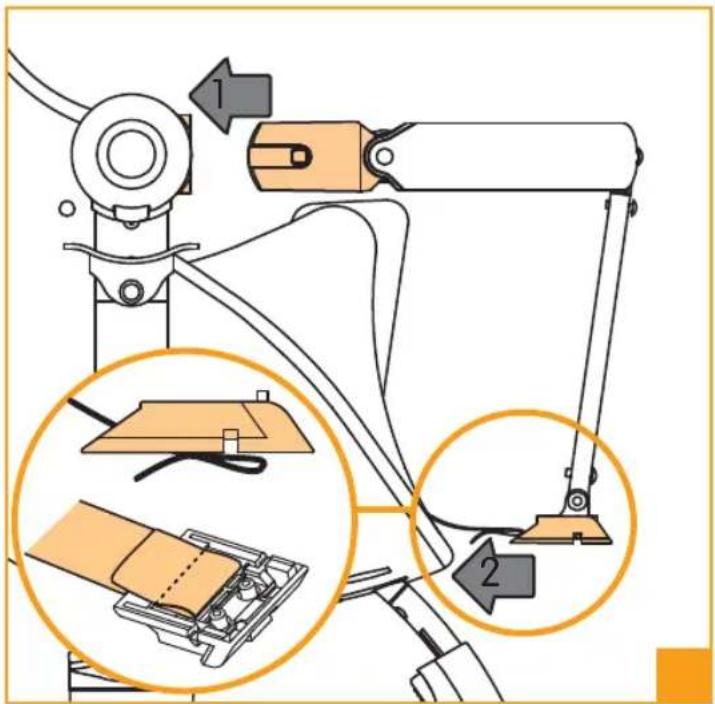 Bloom Fresco - d - 5