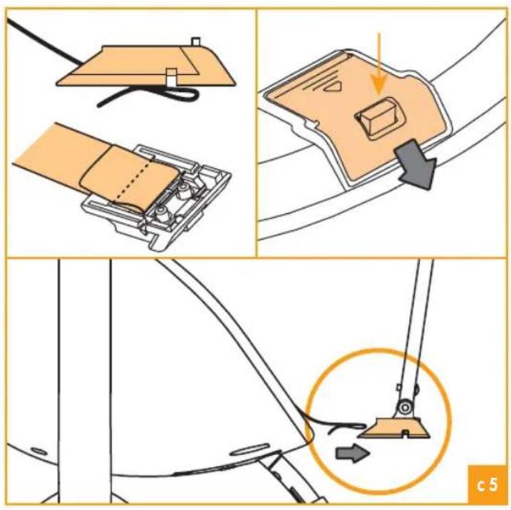 Bloom Fresco - C - 5