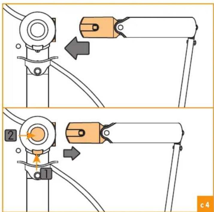 Bloom Fresco - C - 4