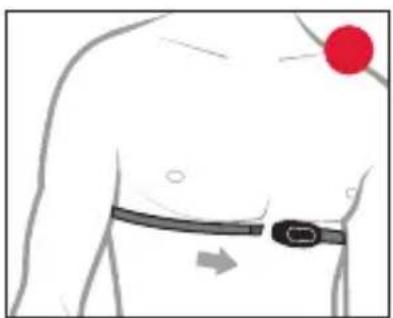 Kalenji 500 SD - Rythme cardiaque anormal - 2