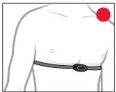 Kalenji 500 SD - Ceinture cardio fréquencemètre (sauf W 500 SD) - 2