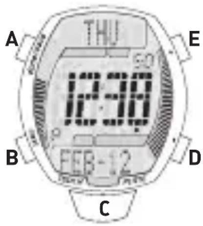 ADIDAS QFL103BA - LCD Plus bouton avant 100 memoirestours - 1