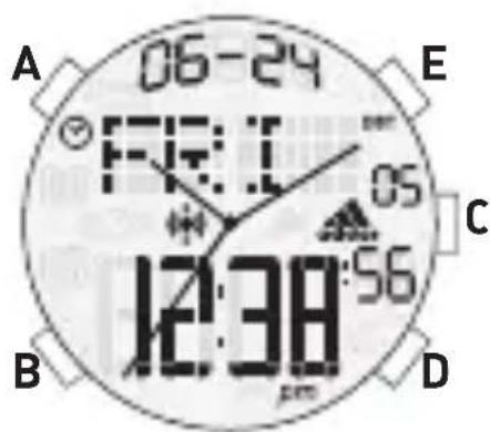 ADIDAS QFL103BA - Affichage NORMAL de l'heure - 1