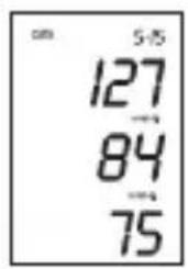 Marque Verte Digitensio BP 3BQ13 - Memoriseren van de LAST meting - 5
