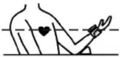 Marque Verte Digitensio BP 3BQ13 - Mise en place du brassard - 2