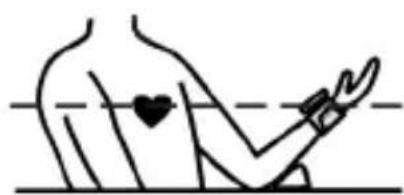 Marque Verte Digitensio BP 3BQ13 - Plaatsen van de manchet - 2