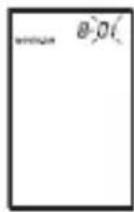 Marque Verte Digitensio BP 3BQ13 - Deijd en de datum instellen - 10