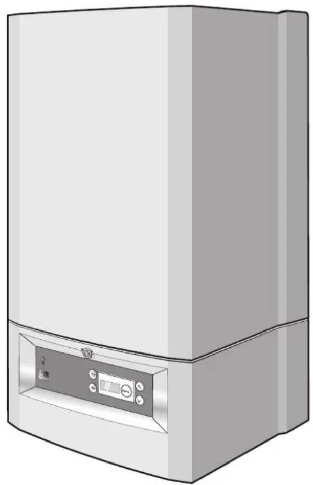 BUDERUS Logamax plus GB02224K - Notice de montage et d'entretien - 1