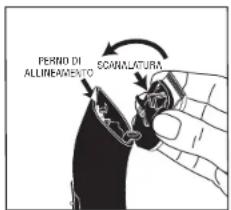 Andis RBC - USO DELL'APPARECCHIO ANDIS - 4