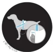 Julius-K9 14889 - PRISE DES MESURES CORRECTE - 1