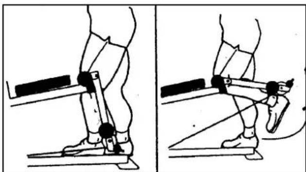 Striale SH6063 - ENTRAINEMENT - 1