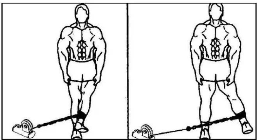 Striale SH6063 - Musculation : cou, épaules - 5