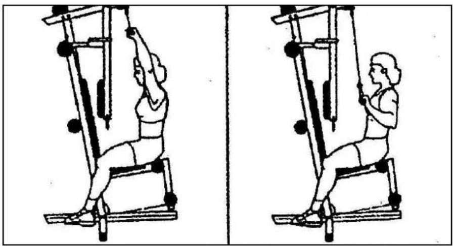 Striale SH6063 - Musculation : cou, épaules - 2
