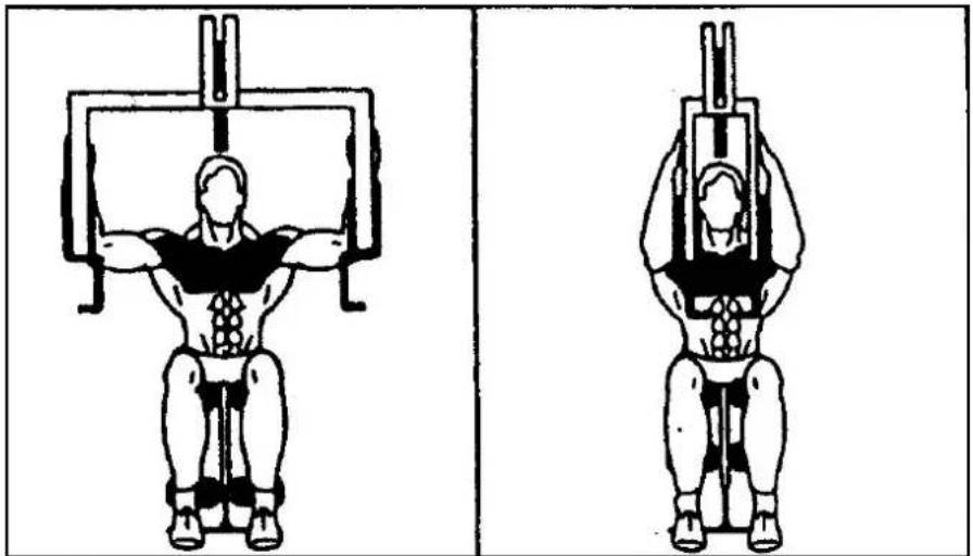 Striale SH6063 - Musculation : cou, épaules - 3