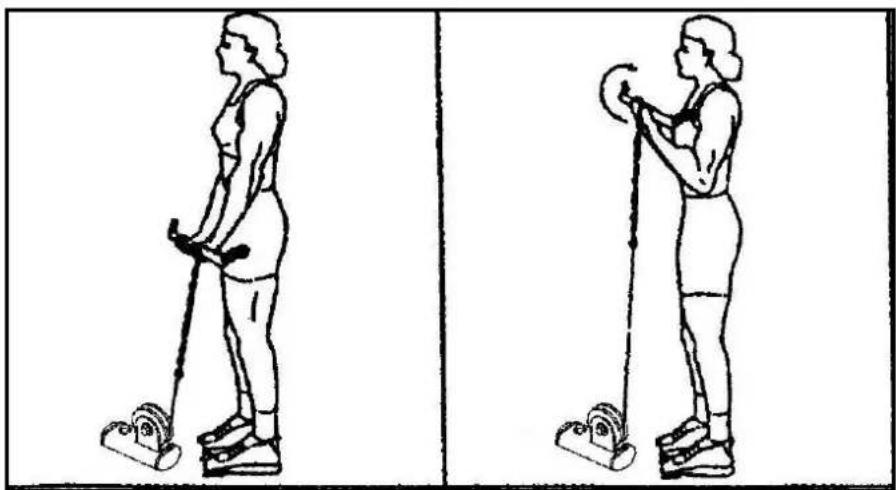 Striale SH6063 - Musculation : cou, épaules - 8