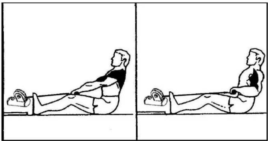 Striale SH6063 - Musculation : cou, épaules - 4