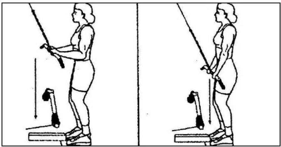 Striale SH6000 - Musculation : extenseurs des bras (triceps) - 1