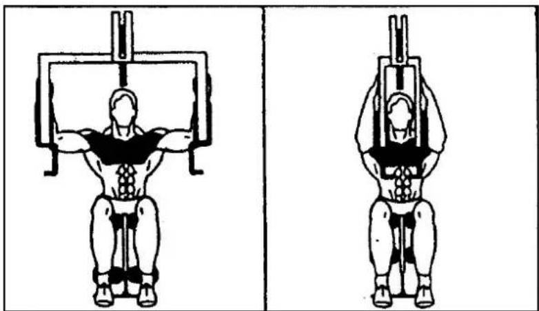 Striale SH6000 - Musculation : pectoraux, Butterfly - 1