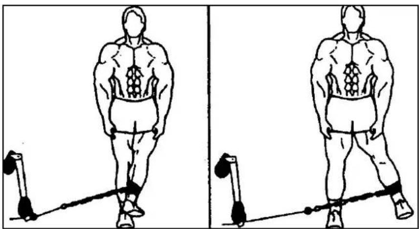 Striale SH6000 - Musculation : pectoraux, Butterfly - 3