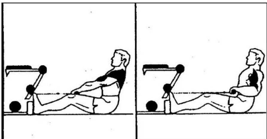 Striale SH6000 - Musculation : pectoraux, Butterfly - 2