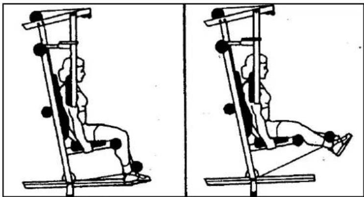 Striale SH6000 - Musculation : extenseurs des jambes (quadriceps) - 1