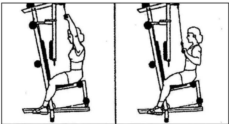 Striale SH6000 - Musculation : dorsaux, traction sur les trapèzes - 1