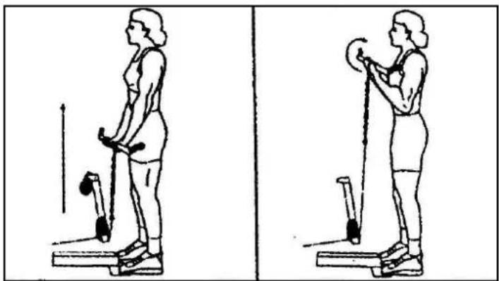 Striale SH6000 - Musculation : cou, épaules - 1