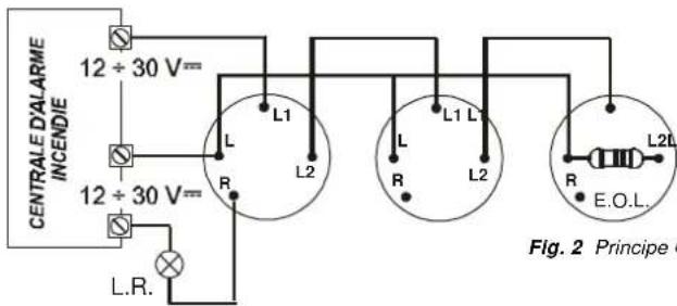 Bentel 601PH - CABLAGE - 1