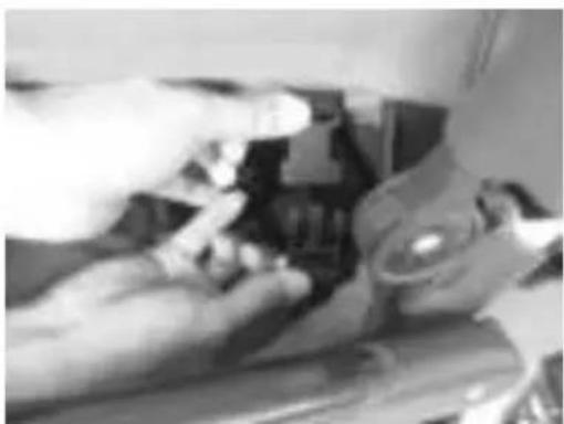 Topmark RORY - Befes gung Buggy LUCCA: - 2