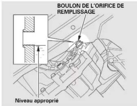 Honda Accord (2010) - Modèle 4 cylindres - 1