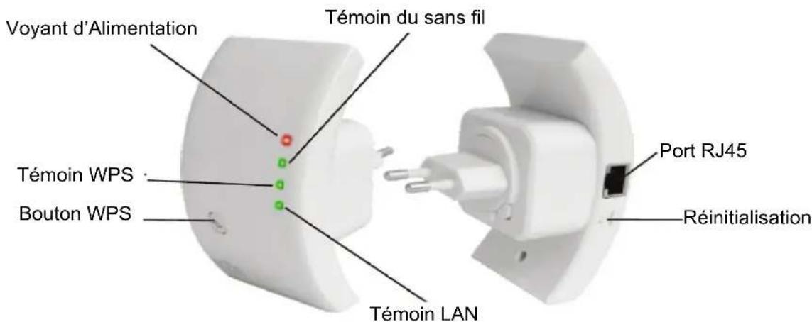 Digitus DN70181 - Introduction : - 1